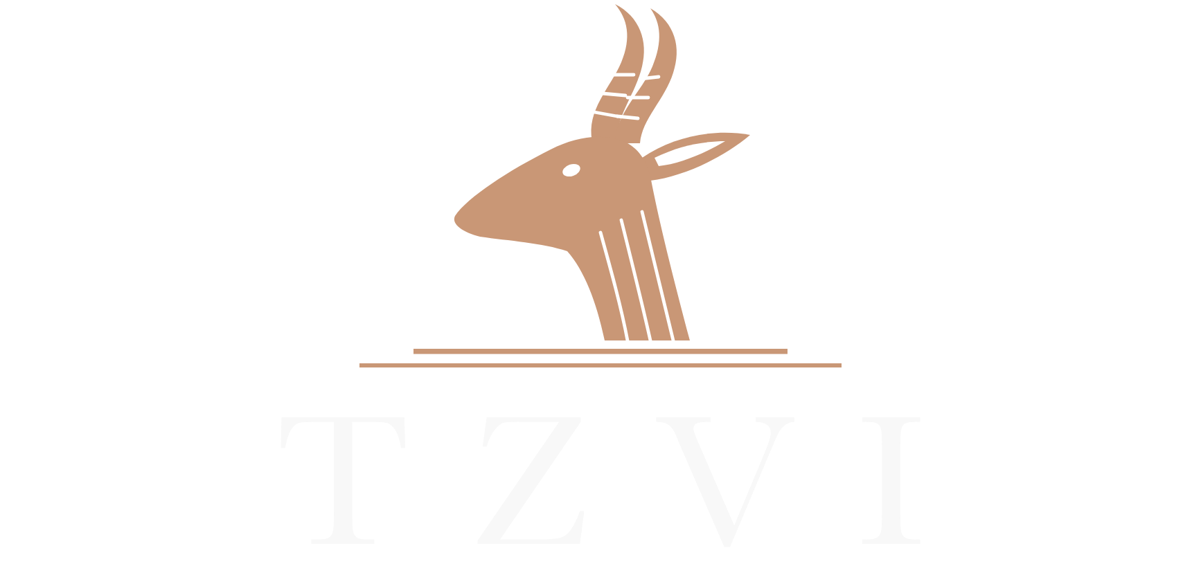 TZVI