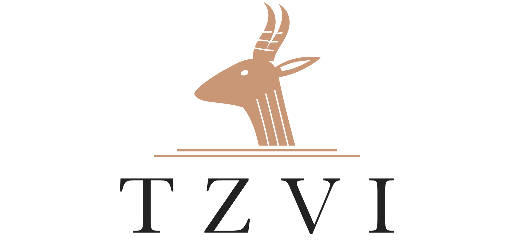 TZVI